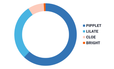 Statistiques choix test autres langues 2023 BTL